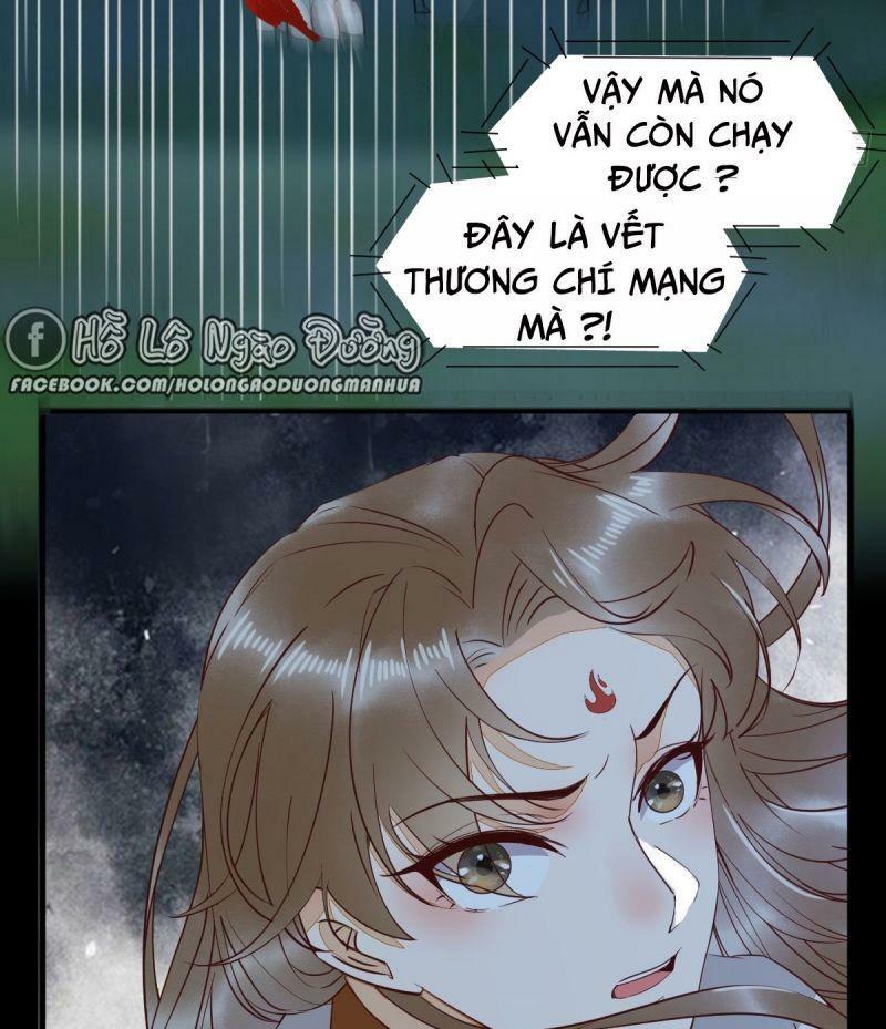 Sát Thủ Vương Phi Không Dễ Chọc Chapter 73 - Next Chapter 74