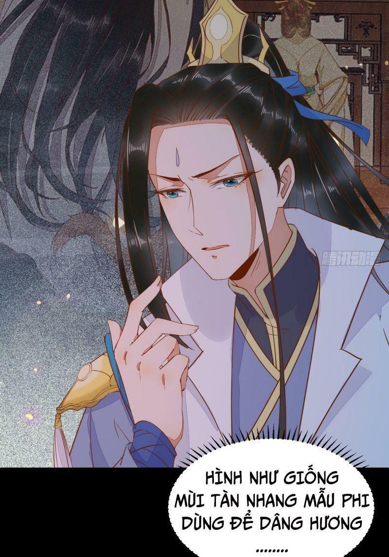 Sát Thủ Vương Phi Không Dễ Chọc Chapter 74 - Next Chapter 75