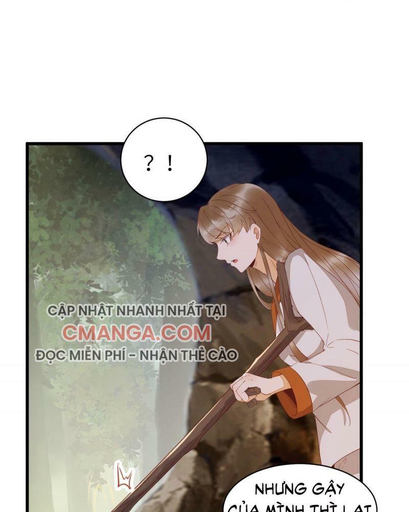 Sát Thủ Vương Phi Không Dễ Chọc Chapter 76 - Next Chapter 77