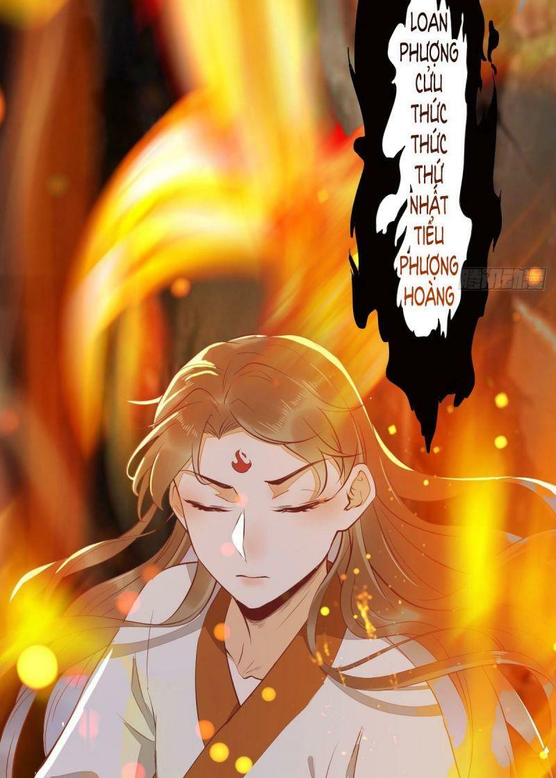 Sát Thủ Vương Phi Không Dễ Chọc Chapter 76 - Next Chapter 77