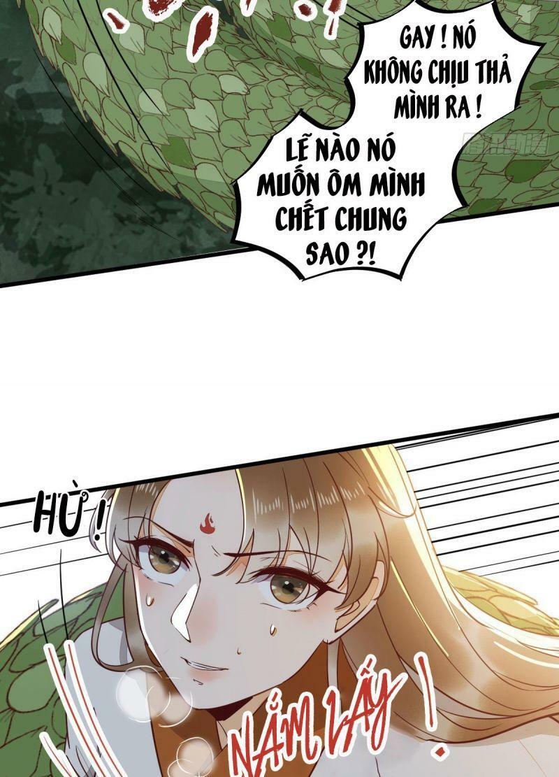 Sát Thủ Vương Phi Không Dễ Chọc Chapter 77 - Next Chapter 78