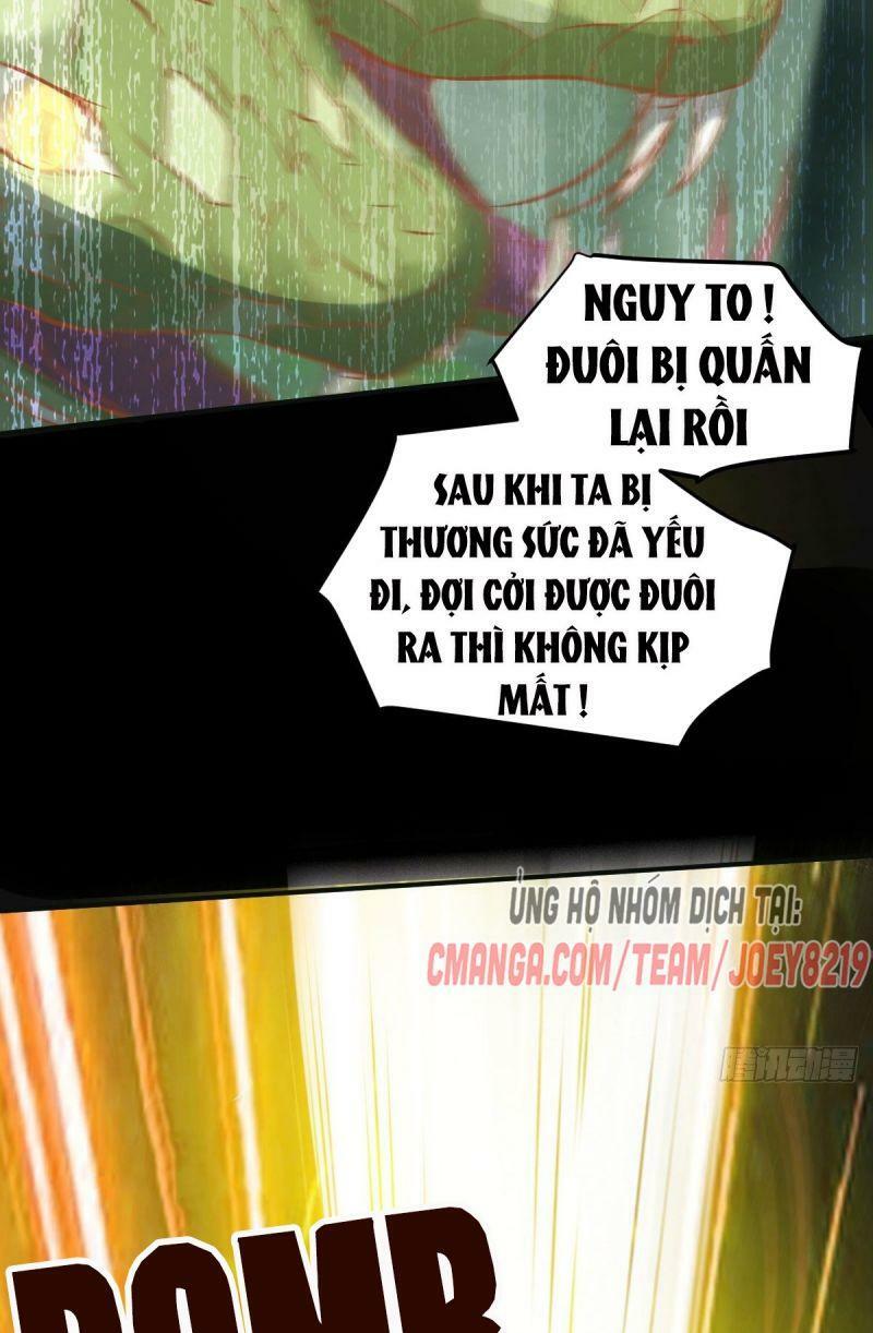 Sát Thủ Vương Phi Không Dễ Chọc Chapter 79 - Next Chapter 80