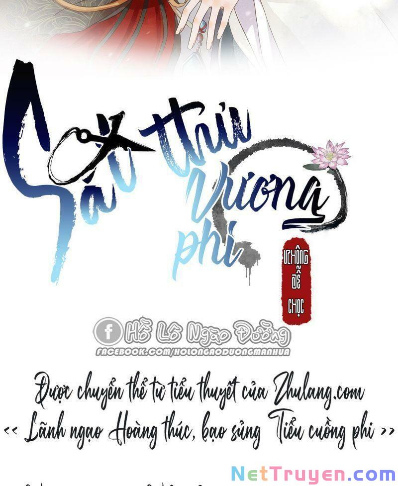 Sát Thủ Vương Phi Không Dễ Chọc Chapter 81 2