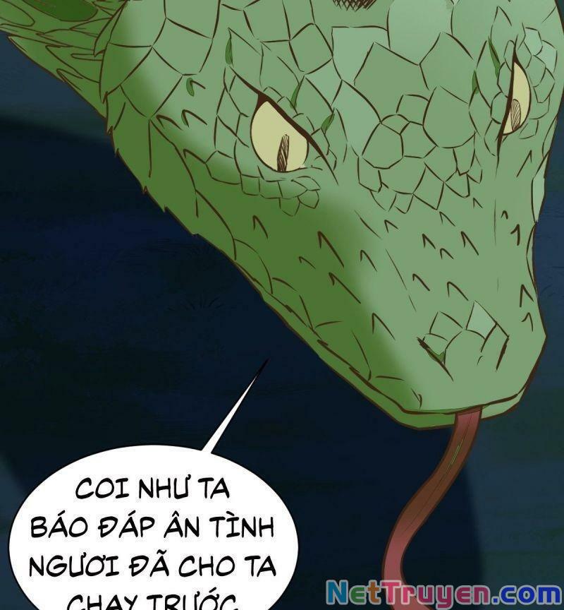 Sát Thủ Vương Phi Không Dễ Chọc Chapter 82 - Next Chapter 83