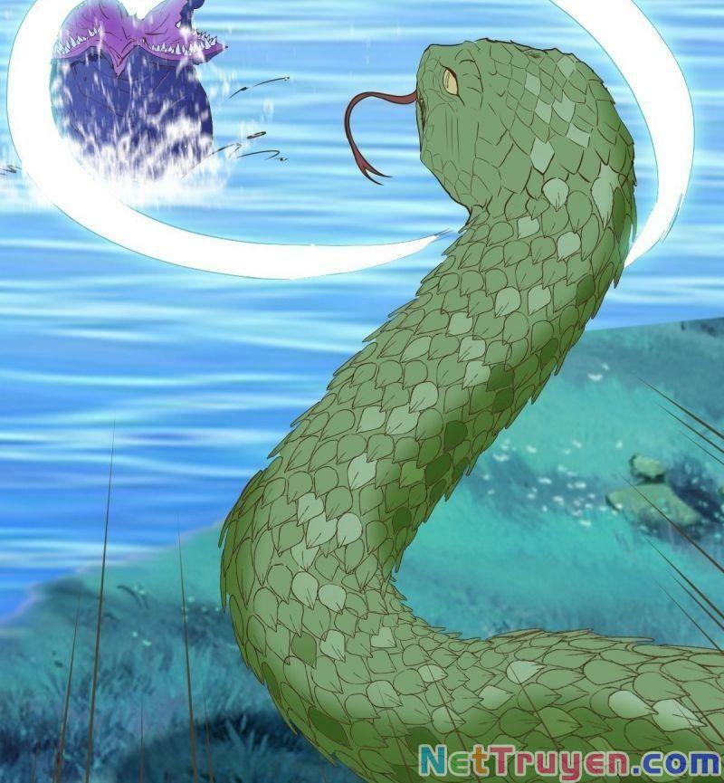 Sát Thủ Vương Phi Không Dễ Chọc Chapter 82 - Next Chapter 83