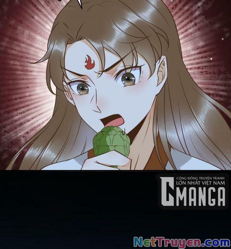 Sát Thủ Vương Phi Không Dễ Chọc Chapter 82 - Next Chapter 83