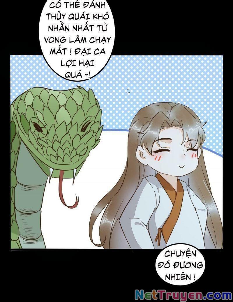 Sát Thủ Vương Phi Không Dễ Chọc Chapter 82 - Next Chapter 83