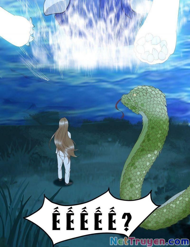 Sát Thủ Vương Phi Không Dễ Chọc Chapter 82 - Next Chapter 83