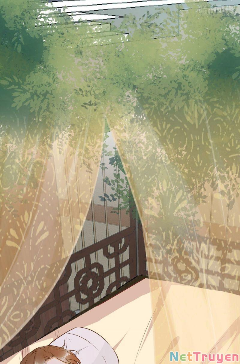 Sát Thủ Vương Phi Không Dễ Chọc Chapter 86 - Next Chapter 87