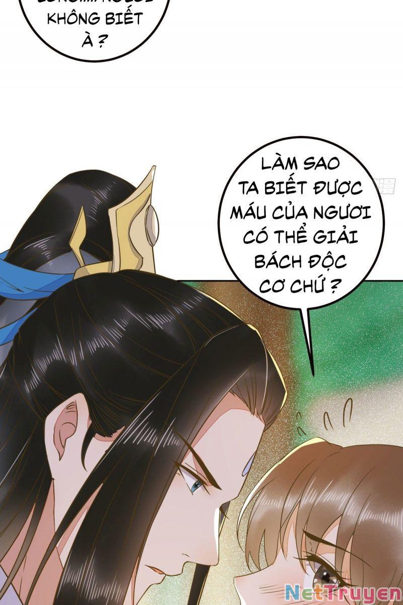 Sát Thủ Vương Phi Không Dễ Chọc Chapter 86 - Next Chapter 87