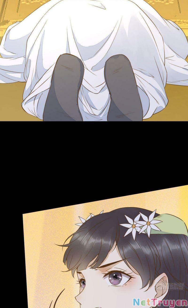 Sát Thủ Vương Phi Không Dễ Chọc Chapter 88 - Next 