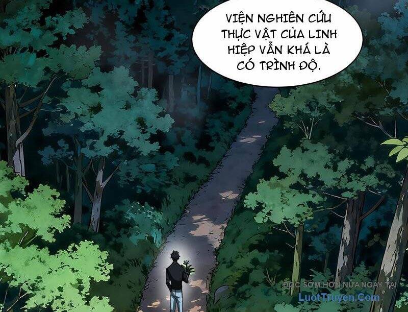 Sau Khi Chia Tay Hoa Khôi, Võ Đạo Của Ta Thẳng Tới Cấp Thần Chapter 28 - Trang 2