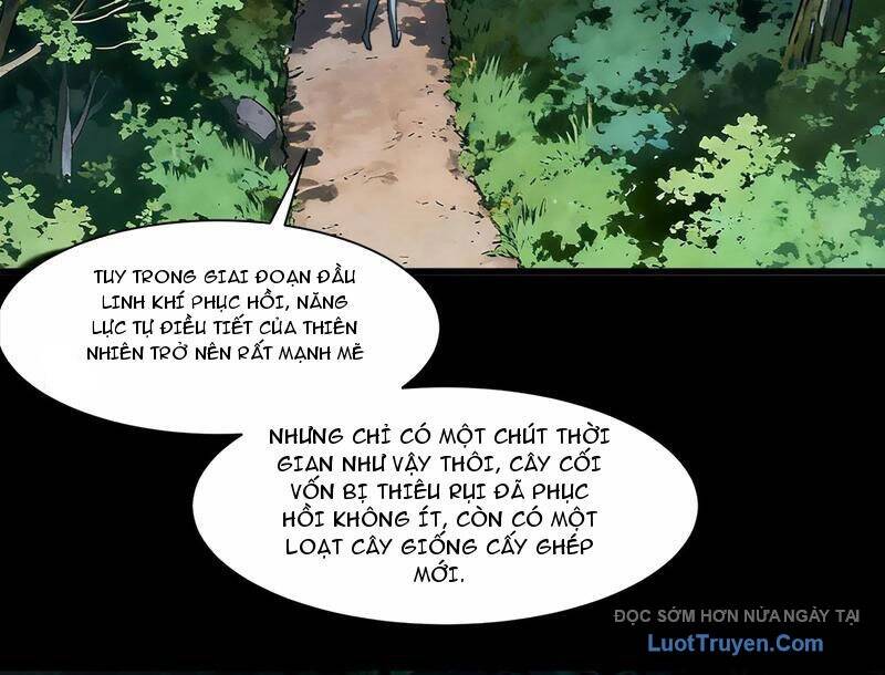 Sau Khi Chia Tay Hoa Khôi, Võ Đạo Của Ta Thẳng Tới Cấp Thần Chapter 28 - Trang 2