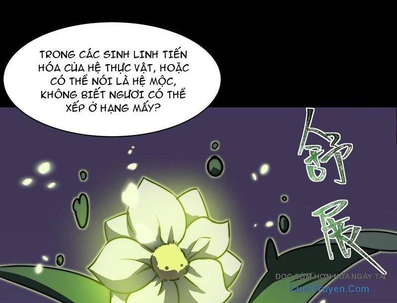 Sau Khi Chia Tay Hoa Khôi, Võ Đạo Của Ta Thẳng Tới Cấp Thần Chapter 28 - Trang 2