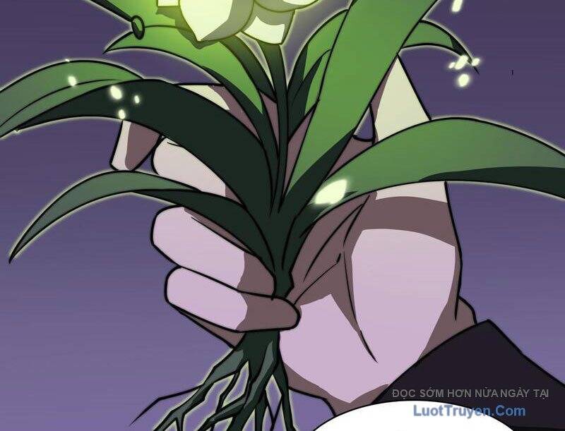 Sau Khi Chia Tay Hoa Khôi, Võ Đạo Của Ta Thẳng Tới Cấp Thần Chapter 28 - Trang 2