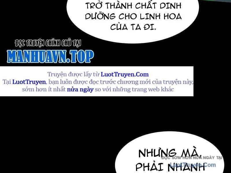 Sau Khi Chia Tay Hoa Khôi, Võ Đạo Của Ta Thẳng Tới Cấp Thần Chapter 32 - Trang 2