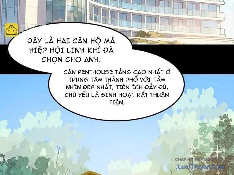Sau Khi Chia Tay Hoa Khôi, Võ Đạo Của Ta Thẳng Tới Cấp Thần Chapter 39 - Trang 2