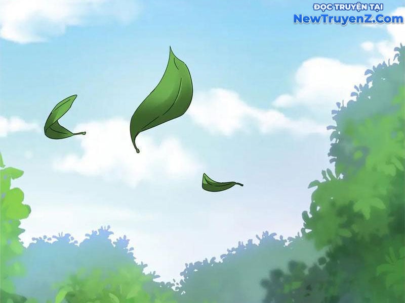 Sau Khi Sống Lại Ở Mạt Thế, Ta Điên Cuồng Thăng Cấp Chapter 44 - Trang 2