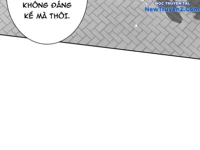 Sau Khi Sống Lại Ở Mạt Thế, Ta Điên Cuồng Thăng Cấp Chapter 46 - Trang 2