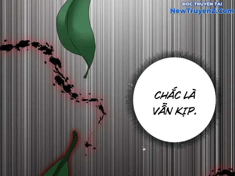 Sau Khi Sống Lại Ở Mạt Thế, Ta Điên Cuồng Thăng Cấp Chapter 46 - Trang 2