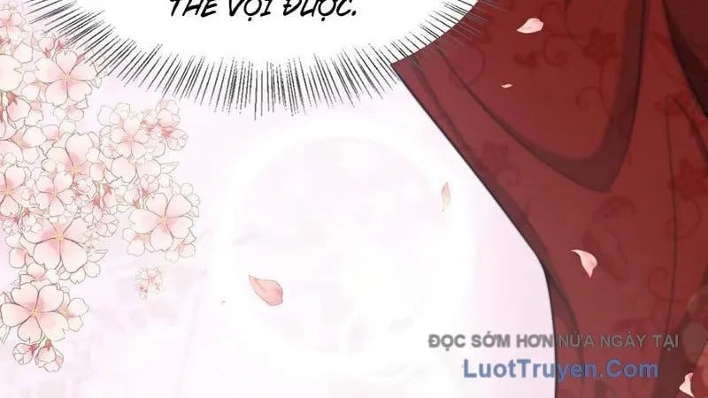 Sau Khi Tự Do Tài Chính, Họ Đã Dâng Hiến Lòng Trung Thành Chapter 51 - Trang 2