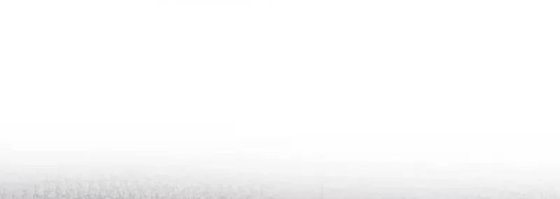 Sau Khi Tự Do Tài Chính, Họ Đã Dâng Hiến Lòng Trung Thành Chapter 56 - Trang 2