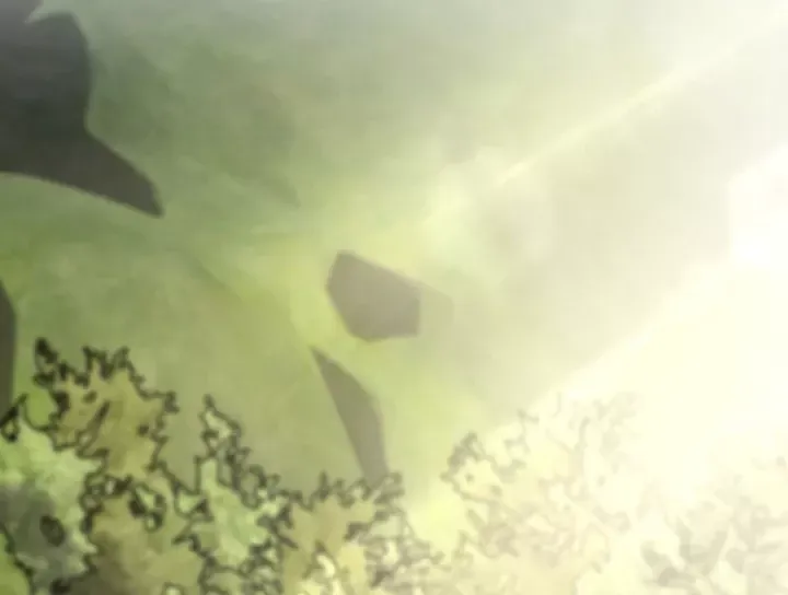 sau khi tự do tài chính, họ đã dâng hiến lòng trung thành Chapter 77 63