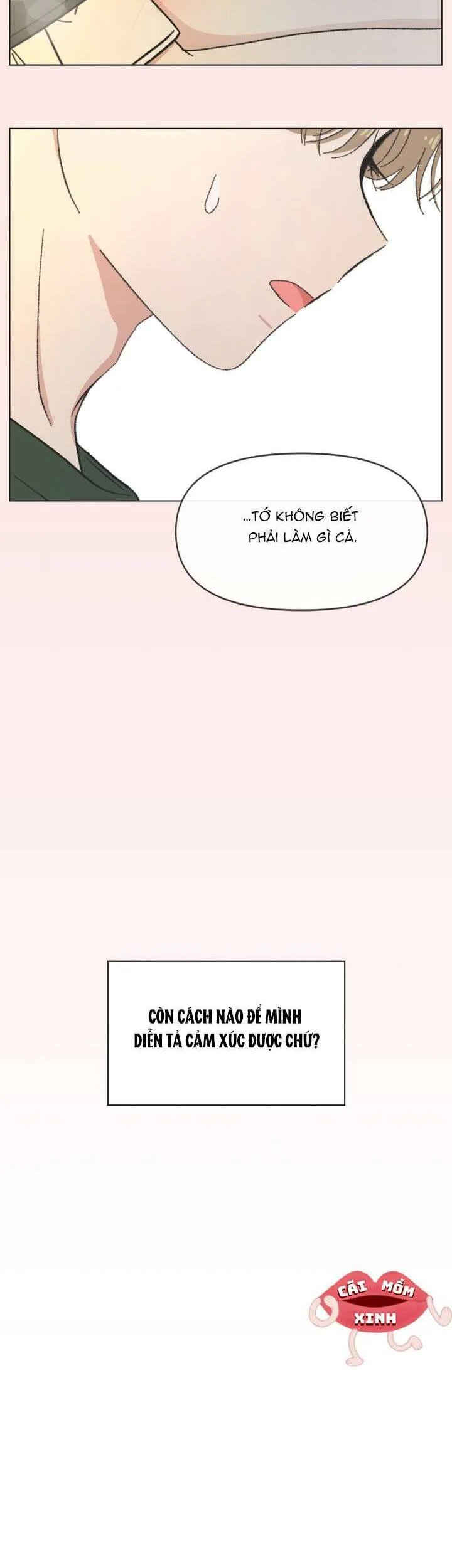 Seasons of Lovesome Chapter 40 - Trang 3