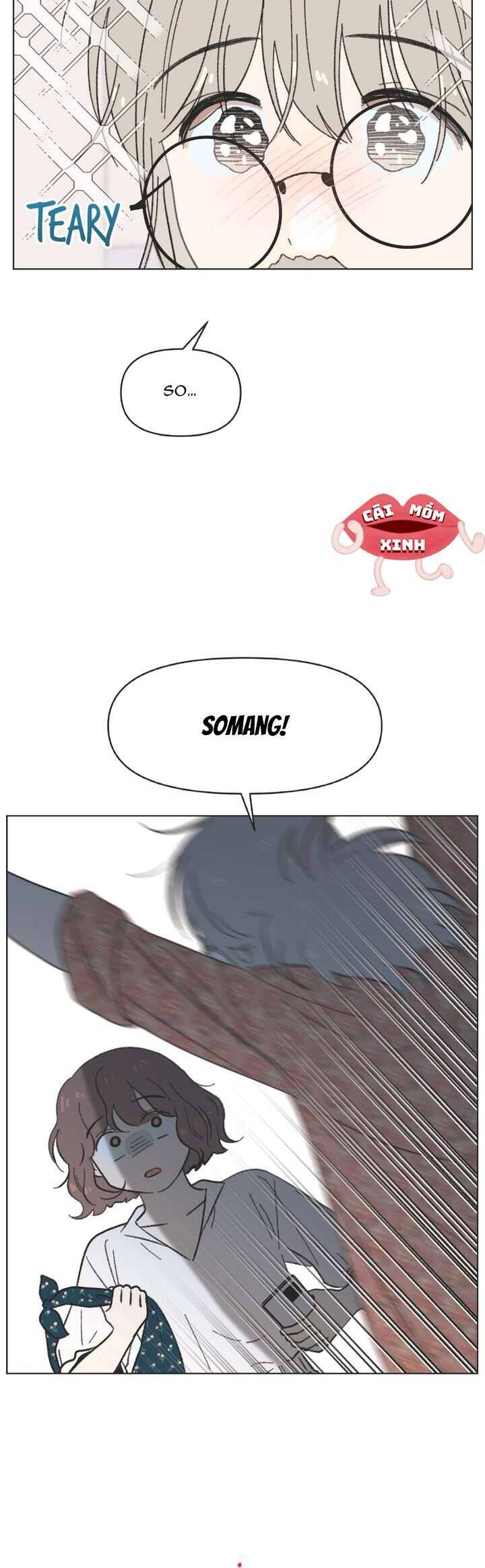 Seasons of Lovesome Chapter 40 - Trang 3
