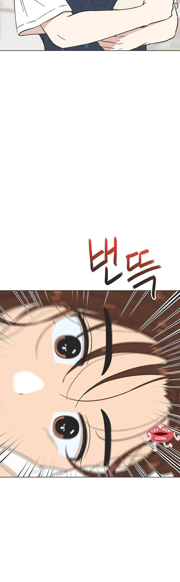 Seasons of Lovesome Chapter 41 - Trang 2