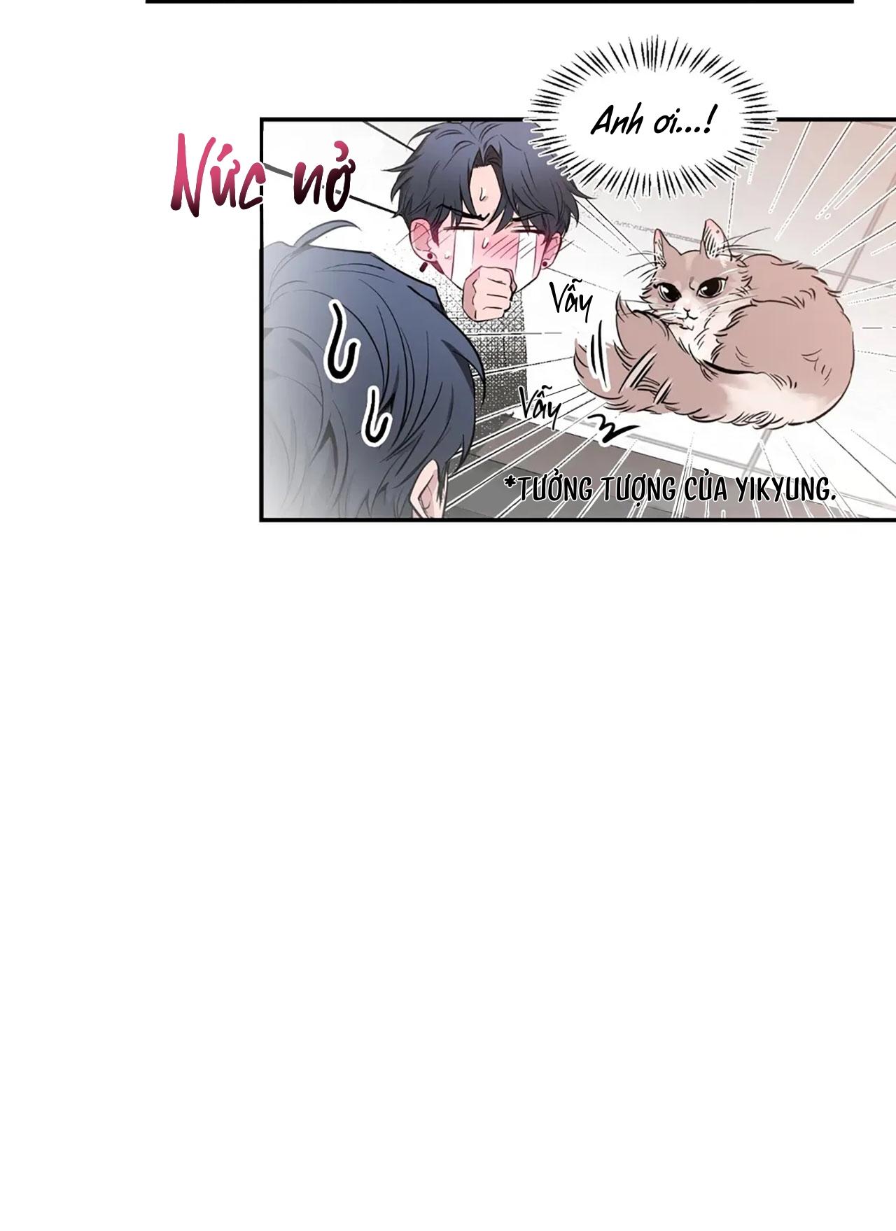 SKETCH Chapter 78 - Next 