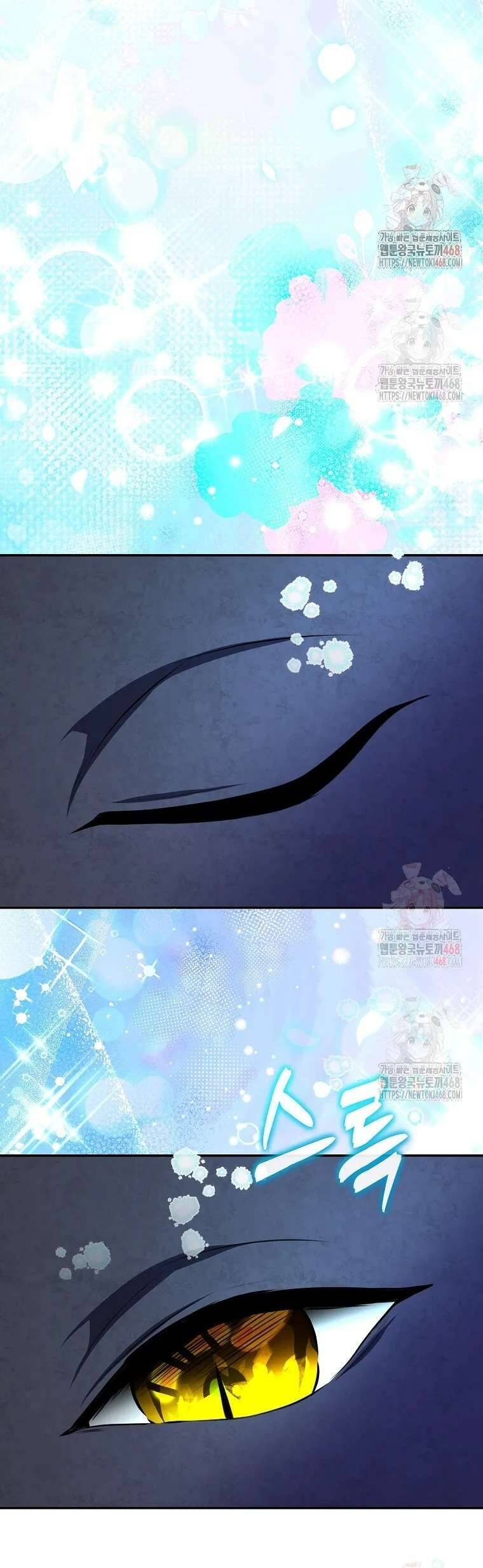Sóc Nhỏ Tài Năng Chapter 111 - Trang 3