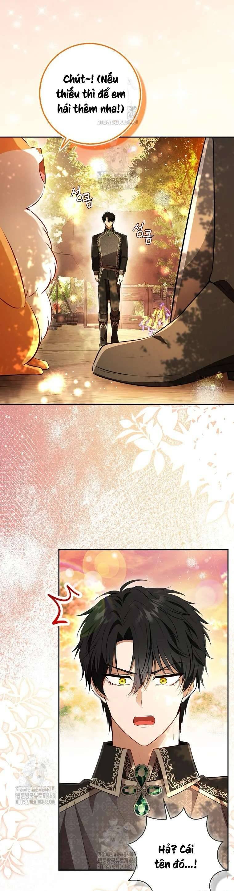 Sóc Nhỏ Tài Năng Chapter 113 - Next 