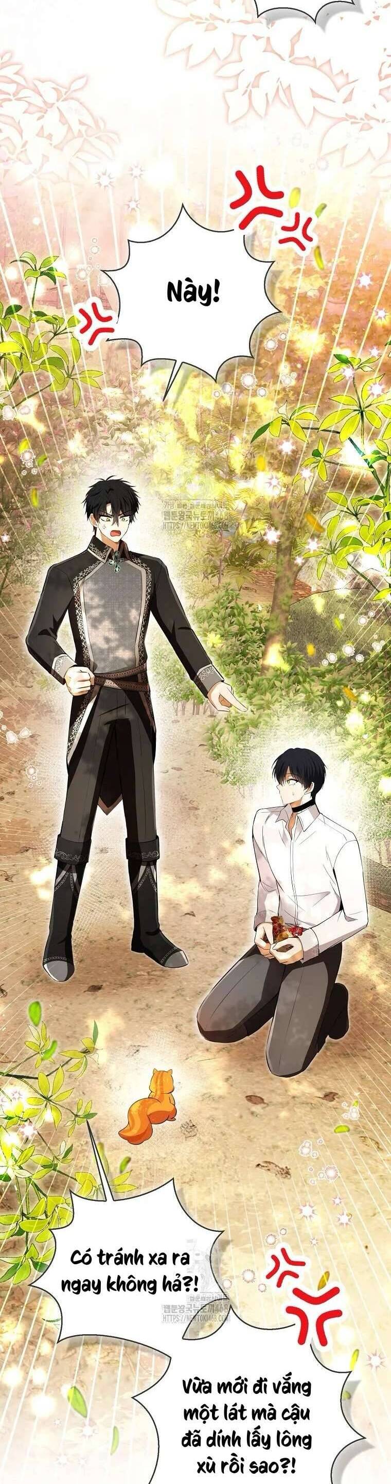 Sóc Nhỏ Tài Năng Chapter 113 - Next 