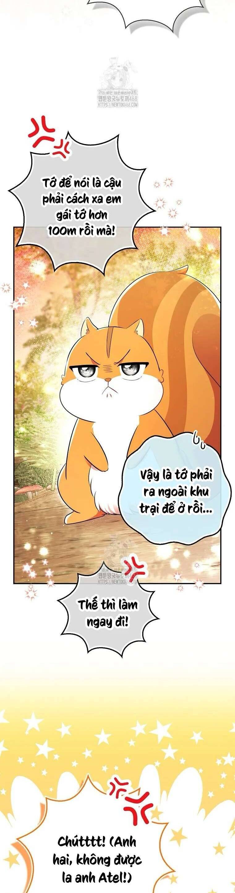 Sóc Nhỏ Tài Năng Chapter 113 - Next 