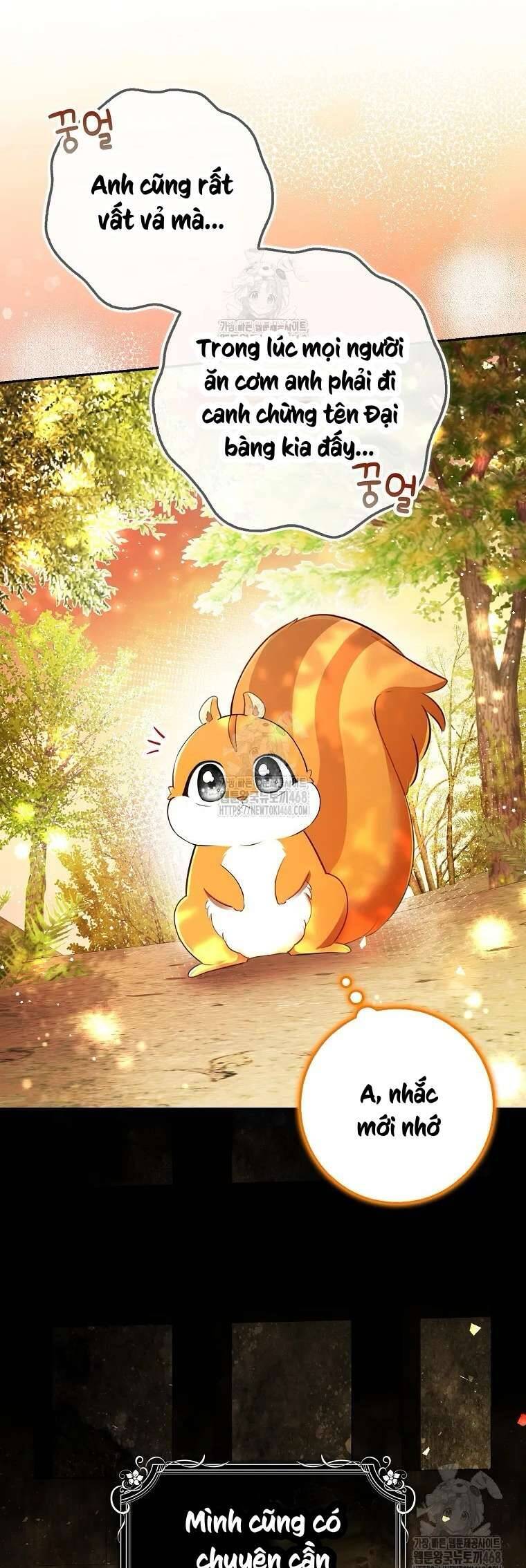 Sóc Nhỏ Tài Năng Chapter 113 - Next 