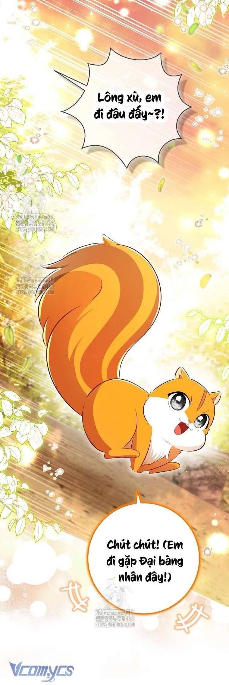 Sóc Nhỏ Tài Năng Chapter 113 - Next 