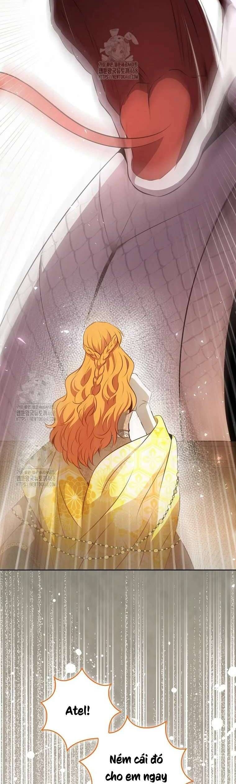 Sóc Nhỏ Tài Năng Chapter 117 - Trang 3