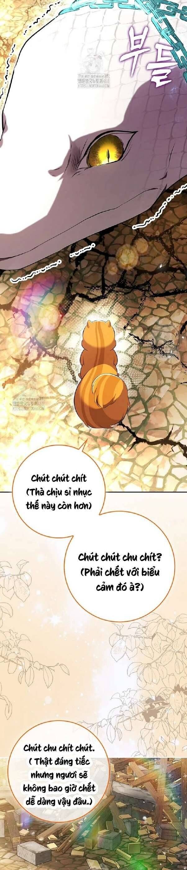 Sóc Nhỏ Tài Năng Chapter 117 - Trang 3
