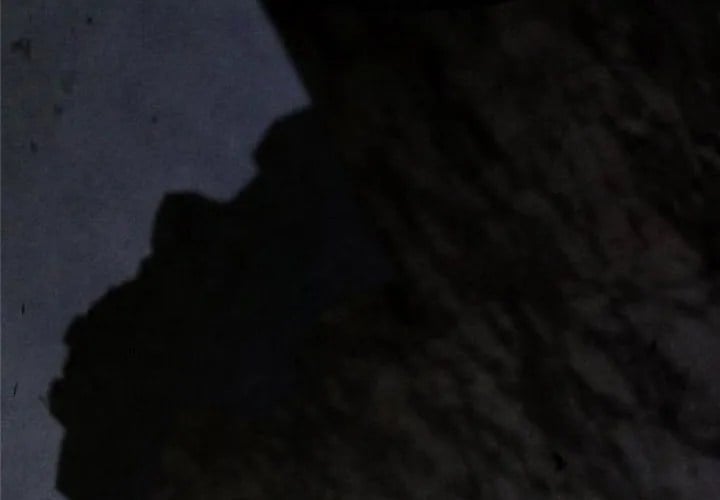 Sống Sót Trong Trò Chơi Với Tư Cách Là Một Cuồng Nhân Chapter 127 - Trang 2