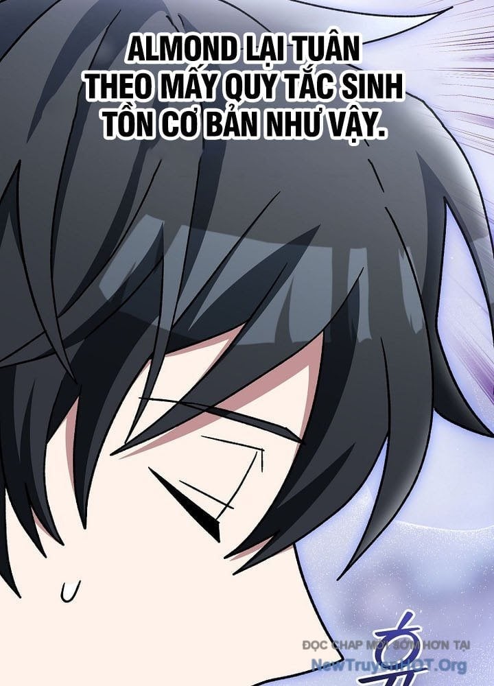 Stream Của Cung Thủ Thiên Tài Chapter 76 - Next 