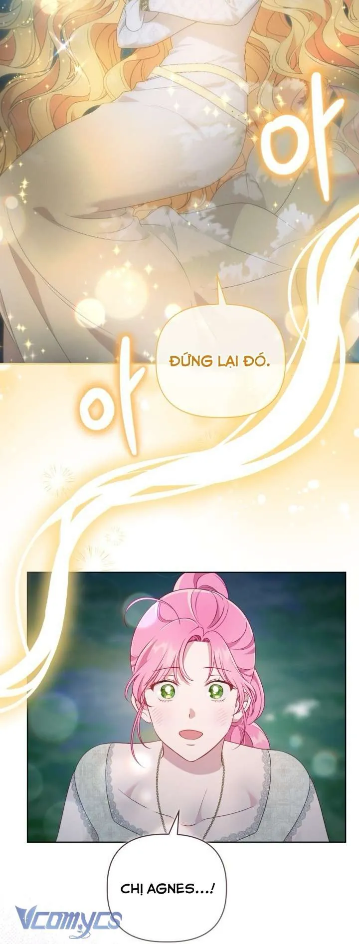 Sự Điều Trị Đặc Biệt Của Tinh Linh Chap 112 8