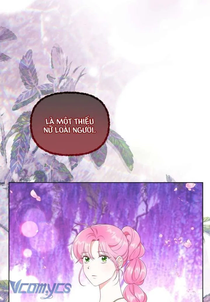 Sự Điều Trị Đặc Biệt Của Tinh Linh Chap 112 26
