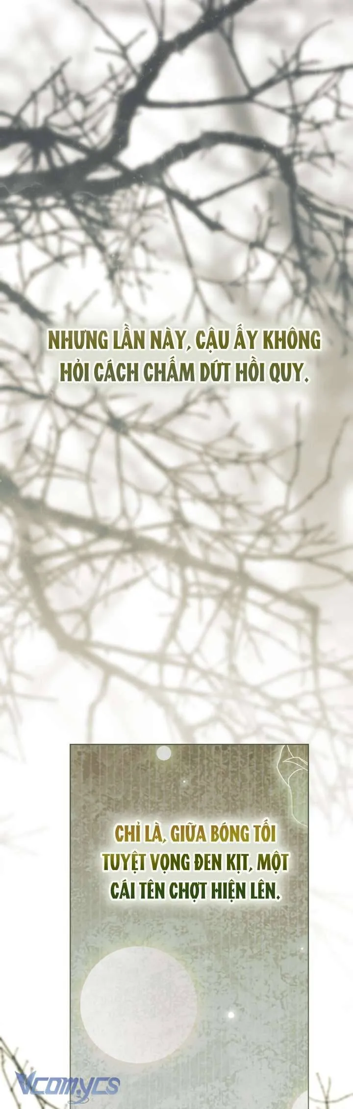 Sự Điều Trị Đặc Biệt Của Tinh Linh chapter 115 64