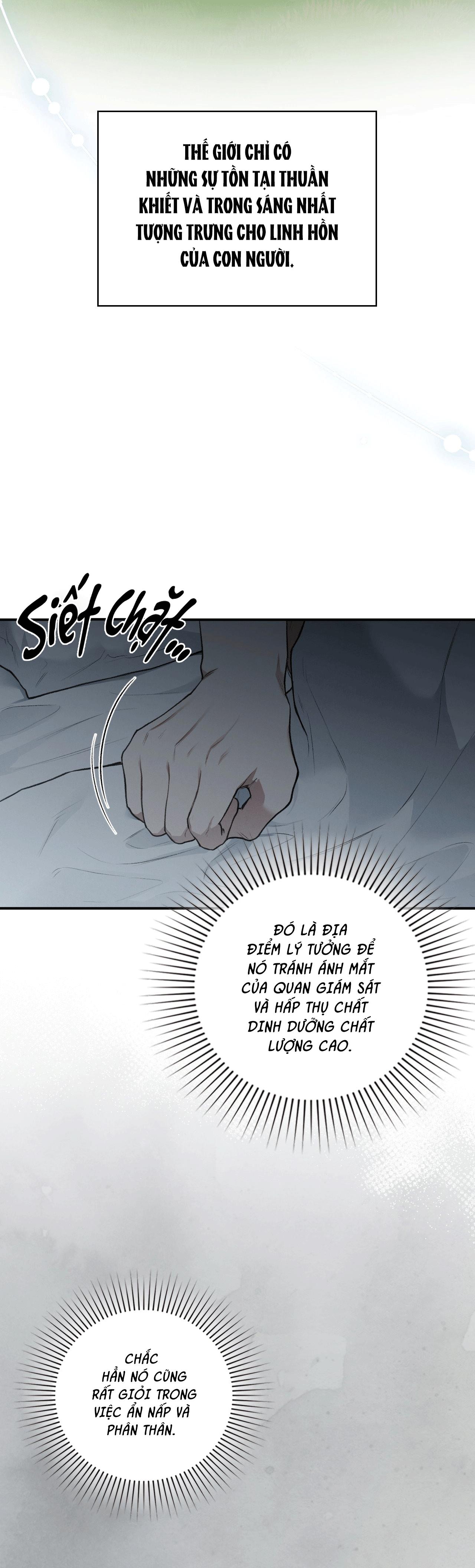 SỨ GIẢ THẦN CHẾT Chapter 37 - Trang 2