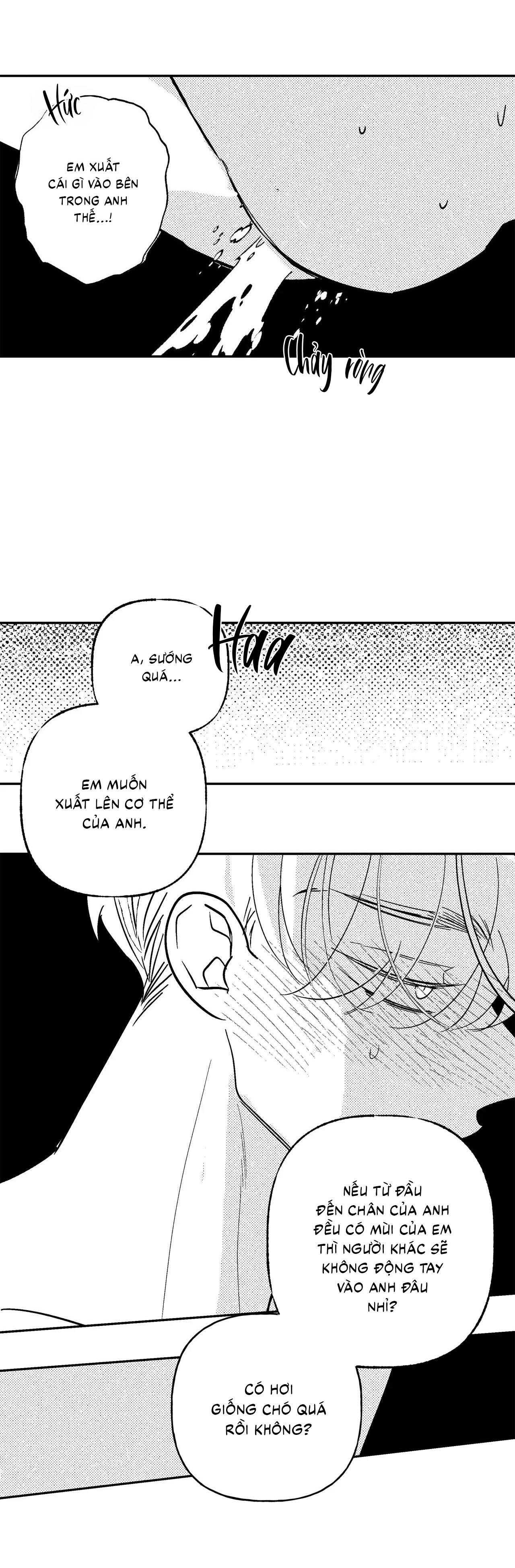 Sự kết hợp hoàn hảo Chapter 47 - Trang 2