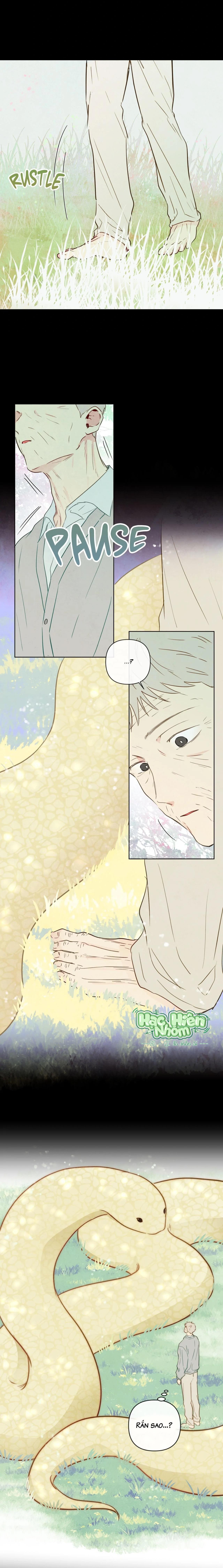 Sự quyến rũ của Thần Rắn Chapter 35 Hachiennhom - Next 