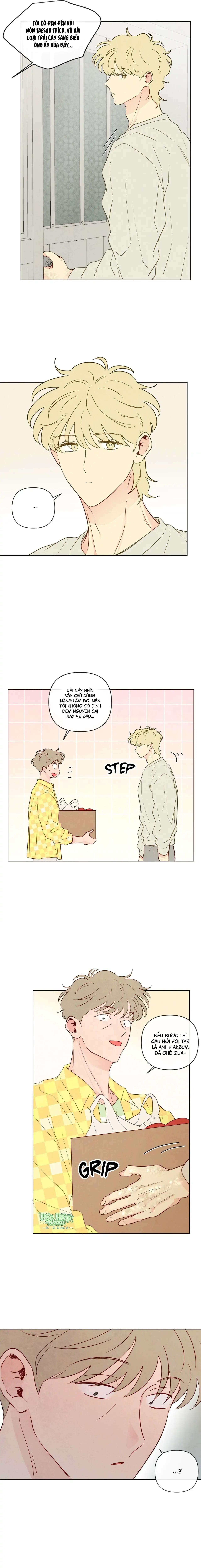 Sự quyến rũ của Thần Rắn Chapter 36 Hachiennhom - Next 