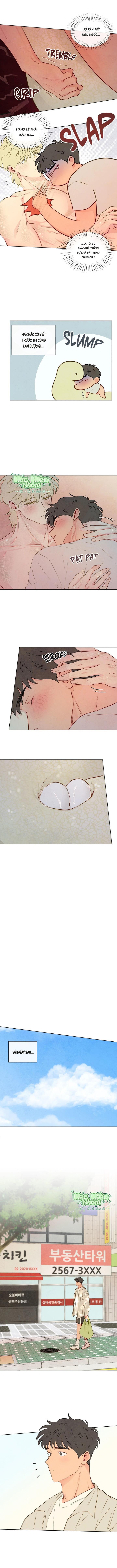 Sự quyến rũ của Thần Rắn Chapter 49 Hachiennhom - Next 