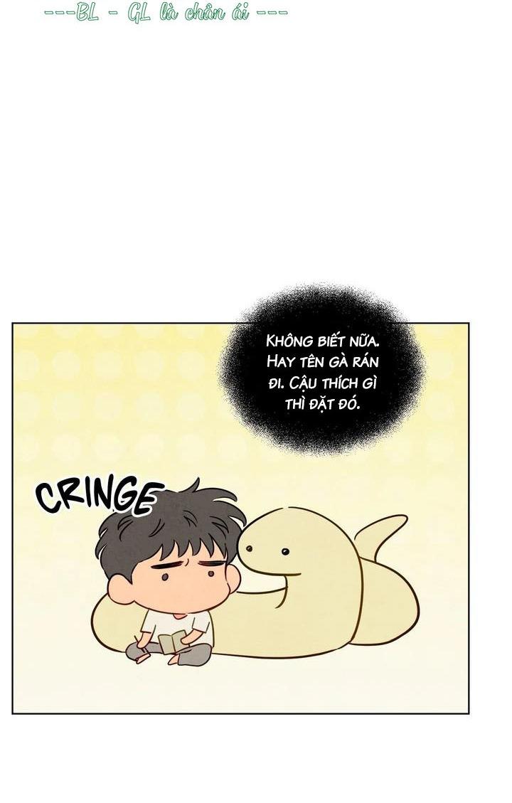 Sự quyến rũ của Thần Rắn Chapter 50 hachiennhom - Trang 3